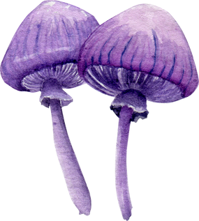 Watercolor Purple Mushrooms
